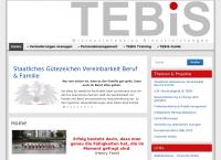 Website von TEBIS Unternehmensberatung GmbH