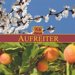 Weinhof Aufreiter