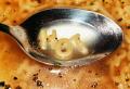 Rechtschreibtraining „Endlich Ordnung in der Buchstabensuppe“
