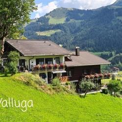 Hotel Villa Valuga