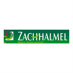 Gartencenter Zachhalmel GmbH