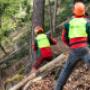 Maschinenring_Forst_Wald Maschinenring_Forst_Wald