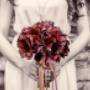 Steurer - Dein Florist!
