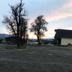 Reitclub Sachendorf