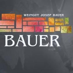 Weingut Florian Bauer