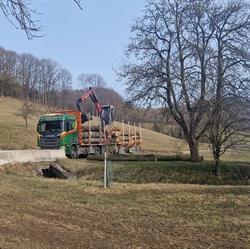 Dorner-Holz