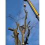 Egger Patrick Baumpflege 8041 Graz