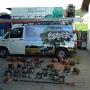 Egger Patrick Baumpflege 8041 Graz