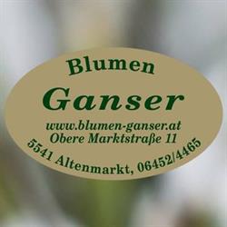 Blumen Ganser