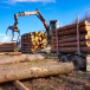 Benkö Holz_Holztransporte Kiefernrundholz