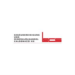 BCS Gebäudereinigung e.U.