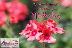 Blumen Bitschnau