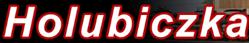 Holubiczka Transporte GmbH