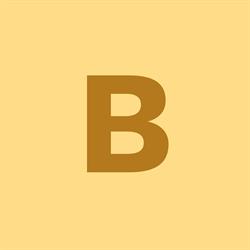Bergermayer Installationen