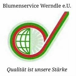 Blumenservice Werndle e.U.