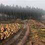 Schnaitmann Holz GmbH, Krispl
