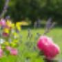Garten-CIKAN in Wien Gartengestaltung
