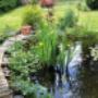 Garten-CIKAN in Wien Teichbau