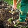 Garten-CIKAN in Wien Gartenarbeit