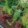 Garten-CIKAN in Wien Gartengestaltung