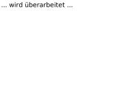 Dipl. Ing. Dietmar Horn