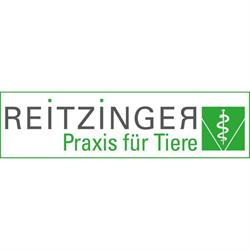 Dipl-TA Johannes Reitzinger