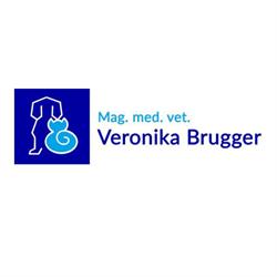 Dipl-TA Veronika Brugger