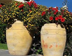 Biopension Hotel Garni Alpenheim