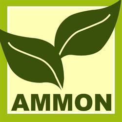 Ammon KG