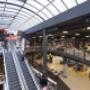 Greif Center