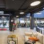 Greif Center