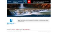 Website von Balmung Medical Handel GmbH