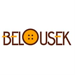 Belousek Leopoldine & Co Gesellschaft mbH & Co KG