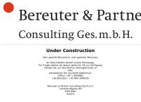 Website von Bereuter & Partner Consulting GesmbH