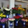 Blumen 2000_