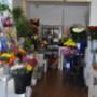 Blumen 2000_