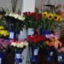 Blumen 2000 Schnittblumen Wien