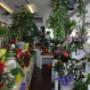 Blumen 2000_