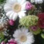 Blumen Auer - Floristik