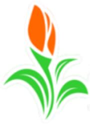 Blumen Schlögl