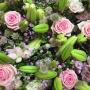 Blumen Andre Stadler Blumen Andre Stadler