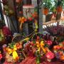 Blumen Andre Stadler Blumen Andre Stadler