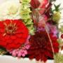 Blumen Stieber  Brautstrauß