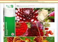 Website von Blumen Stieber