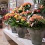 Blumen Weingartshofer GesmbH