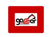 Website von Bruno Gasser, Frächterei- und Erdbewegungsgesellschaft M.b.h.