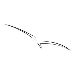 Condor Gürtel GmbH