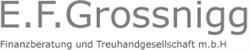 E.f. Grossnigg Finanzberatung und Treuhandgmbh
