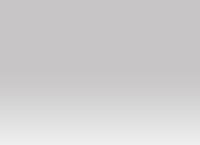 Website von Scheuringer GmbH & Co KG