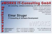 eWorks IT-Consulting, Elmar Struger